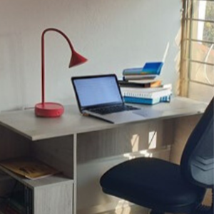 Trabajo o estudio
